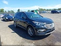 2017 Hyundai Santa Fe — photo 1 of 17 | VIN 5NMZUDLB1HH005171