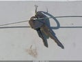 1994 Chevrolet Cavalier — photo 11 of 11 | VIN 1G1JC1443R7318898