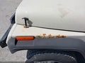 1995 Jeep Wrangler — photo 13 of 16 | VIN 1J4FY19P9SP299856