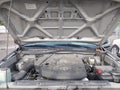 2009 Toyota Tacoma — photo 10 of 16 | VIN 5TEUU42N89Z608531