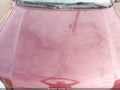 2003 Toyota Tundra — photo 10 of 11 | VIN 5TBBT44113S362326