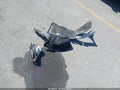 2025 Jeep Grand Cherokee L — photo 12 of 19 | VIN 1C4RJKEG3S8720340