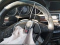 2015 Mercedes-Benz E-Class — photo 11 of 16 | VIN WDDHF8JB6FB160967