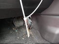 2014 Nissan Rogue — photo 11 of 13 | VIN JN8AS5MV8EW717756