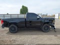 2017 Chevrolet Silverado 1500 — photo 13 of 16 | VIN 1GCNCNEH5HZ329549