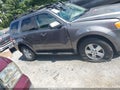 2010 Ford Escape — photo 12 of 13 | VIN 1FMCU0DG2AKA72523