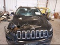 2016 Jeep Cherokee — photo 6 of 16 | VIN 1C4PJLDB1GW157830