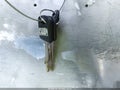 2009 Ford E-350 — photo 11 of 11 | VIN 1FBSS31LX9DA19274