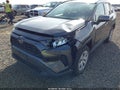 2021 Toyota RAV4 — photo 6 of 16 | VIN 2T3G1RFV1MW168542