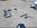 2018 Toyota Corolla — photo 12 of 17 | VIN 2T1BURHE4JC032703