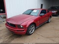 2009 Ford Mustang — photo 2 of 16 | VIN 1ZVHT80N795122260