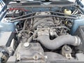 2005 Ford Mustang — photo 10 of 12 | VIN 1ZVFT82HX55176807