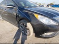 2013 Hyundai Sonata — photo 6 of 18 | VIN 5NPEC4AB2DH653796