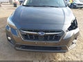 2019 Subaru Crosstrek — photo 18 of 19 | VIN JF2GTAMC2K8385969