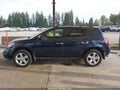 2003 Nissan Murano — photo 14 of 16 | VIN JN8AZ08T23W103290