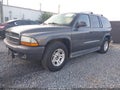 2003 Dodge Durango — photo 2 of 11 | VIN 1D4HR38N13F565372