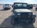 1994 Jeep Wrangler — photo 14 of 14 | VIN 1J4FY49S1RP429810