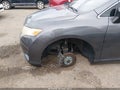 2014 Toyota Venza — photo 19 of 19 | VIN 4T3BK3BB4EU098326