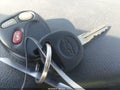 2001 Chevrolet Silverado 1500 — photo 11 of 12 | VIN 2GCEC19T411164972