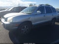 2004 Hyundai Santa Fe — photo 2 of 11 | VIN KM8SC13E74U650077