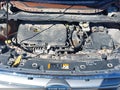 2017 Ford Escape — photo 10 of 17 | VIN 1FMCU9GD6HUB08766