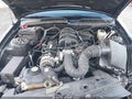 2007 Ford Mustang — photo 10 of 16 | VIN 1ZVFT84N875342375