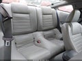 2008 Ford Mustang — photo 8 of 17 | VIN 1ZVHT80N085115228