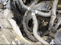2022 Ford Transit Connect — photo 17 of 17 | VIN NM0GE9F24N1532198