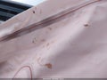 2024 Toyota Tacoma — photo 15 of 15 | VIN 3TMLB5JN2RM034384