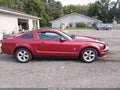 2007 Ford Mustang — photo 14 of 20 | VIN 1ZVFT80N775289089