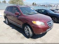 2009 Hyundai Santa Fe — photo 1 of 14 | VIN 5NMSH13E49H252913