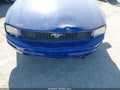 2007 Ford Mustang — photo 6 of 11 | VIN 1ZVFT80N575329444