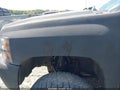 2009 Chevrolet Silverado 1500 — photo 20 of 20 | VIN 3GCEK23369G286186