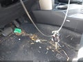 2015 Toyota RAV4 — photo 11 of 18 | VIN 2T3RFREV3FW258189