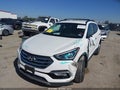 2017 Hyundai Santa Fe — photo 2 of 16 | VIN 5NMZUDLB8HH030553
