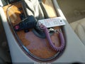 2006 Mercedes-Benz E-Class — photo 11 of 11 | VIN WDBUF87J86X186611