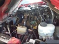 2010 Ford Ranger — photo 10 of 17 | VIN 1FTKR4EE8APA78142