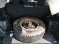2016 Toyota 4Runner — photo 12 of 17 | VIN JTEBU5JR5G5369792