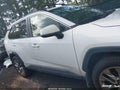 2019 Toyota RAV4 — photo 14 of 17 | VIN JTMA1RFV2KD017094
