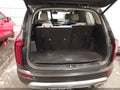 2020 Kia Telluride — photo 17 of 17 | VIN 5XYP3DHC8LG055161