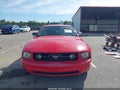 2008 Ford Mustang — photo 12 of 16 | VIN 1ZVHT80N785179122