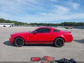 2008 Ford Mustang — photo 14 of 16 | VIN 1ZVHT80N785179122