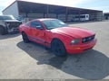 2008 Ford Mustang — photo 1 of 16 | VIN 1ZVHT80N785179122