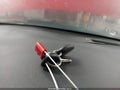 2006 Chevrolet Monte Carlo — photo 11 of 21 | VIN 2G1WM15K269202232