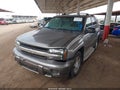 2006 Chevrolet Trailblazer — photo 2 of 11 | VIN 1GNDT13S462264791