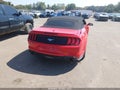 2019 Ford Mustang — photo 16 of 17 | VIN 1FATP8UH5K5162015