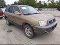2004 Hyundai Santa Fe — photo 1 of 10 | VIN KM8SC13EX4U687060