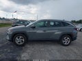 2024 Hyundai Tucson — photo 14 of 16 | VIN 5NMJA3DE3RH391313