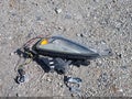 2017 Chevrolet Equinox — photo 12 of 20 | VIN 2GNFLFEK7H6151832
