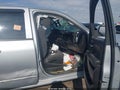 2016 Chevrolet Silverado 1500 — photo 5 of 11 | VIN 1GCVKREC9GZ412124